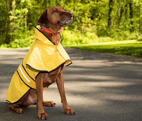 SPOT Rainy Days Slicker - Yellow Dog Rain Jacket With Hood, Reflective Strip for Safety, Leash Hole & Adjustable Velcro Belly Strap, 100% Polyester Water Resistant Pet Raincoat - Medium, 13in Long in Kuwait
