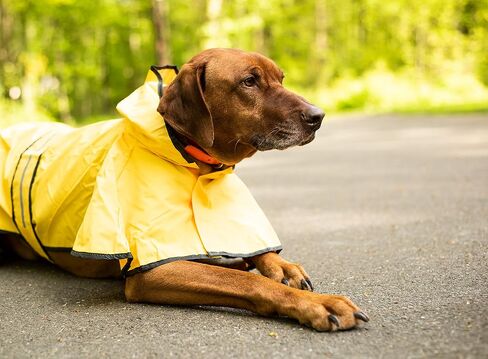 SPOT Rainy Days Slicker - Yellow Dog Rain Jacket With Hood, Reflective Strip for Safety, Leash Hole & Adjustable Velcro Belly Strap, 100% Polyester Water Resistant Pet Raincoat - Medium, 13in Long in Kuwait