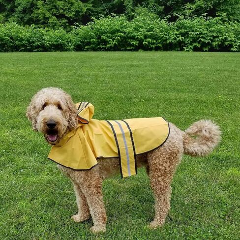 SPOT Rainy Days Slicker - Yellow Dog Rain Jacket With Hood, Reflective Strip for Safety, Leash Hole & Adjustable Velcro Belly Strap, 100% Polyester Water Resistant Pet Raincoat - Medium, 13in Long in Kuwait