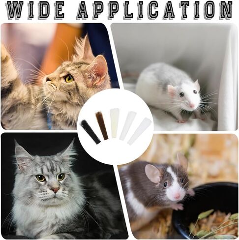 1500Pcs 5 Bags 5 Colors Simulated Cat Artificial Animal Whisker Realistic Costume Halloween Prosthetic Bendable Thin Long Cats Plastic Whiskers for Needle Felting Arts DIY Crafts Supply in Kuwait
