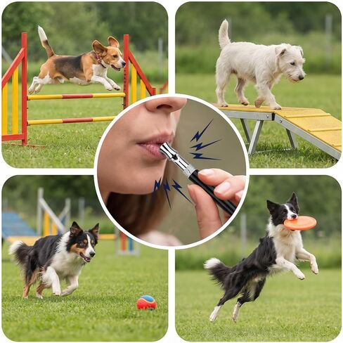 2PCS Dog Whistle - Easy Training Whistle w/Lanyard Recall in Kuwait