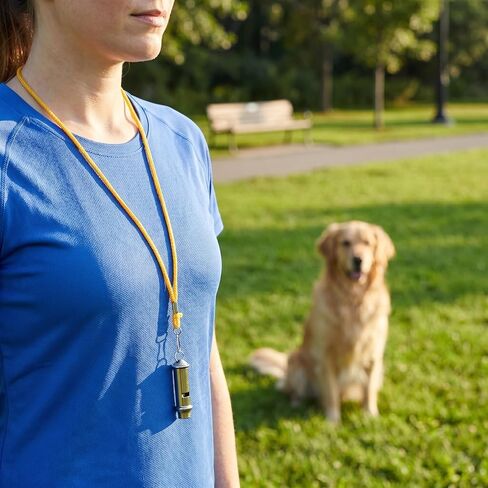 Pigeon Training Whistle Stainless Steel Bird Whistle Portable Metal Train Tool for Parrot Communication Loud Sound Lightweight 2.55 X 0.78 X 0.78 in in Kuwait
