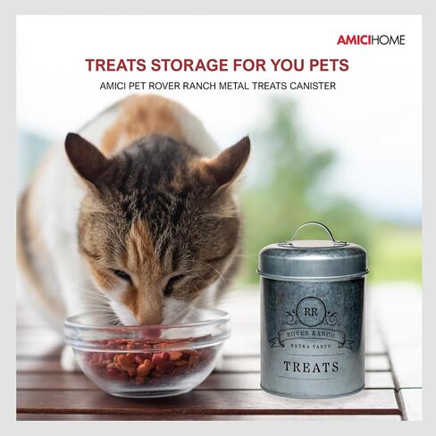 Amici Home Rover Ranch Metal Pet Treat Canister, 64 Oz - Silver in Kuwait
