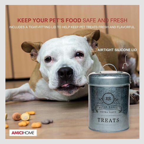 Amici Home Rover Ranch Metal Pet Treat Canister, 64 Oz - Silver in Kuwait