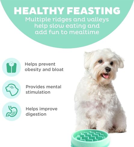 Outward Hound Fun Feeder Slo Bowl Dog Slow Feeder, Wave, Mint, 5.8" in Kuwait