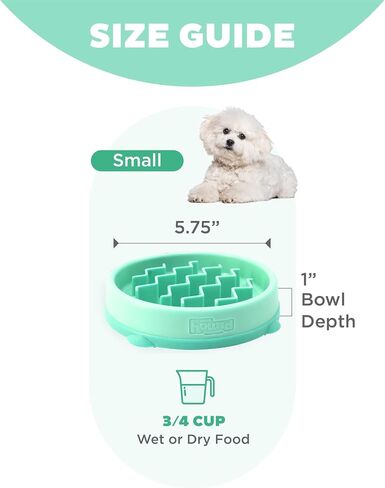 Outward Hound Fun Feeder Slo Bowl Dog Slow Feeder, Wave, Mint, 5.8" in Kuwait