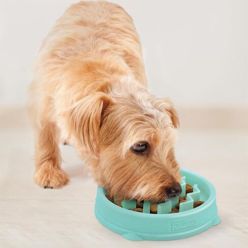 Outward Hound Fun Feeder Slo Bowl Dog Slow Feeder, Wave, Mint, 5.8" in Kuwait