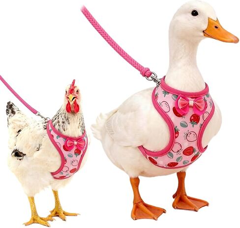 Duck Harness with Leash, Chicken Harness Vest for Goose Hans Pink, Medium in Kuwait