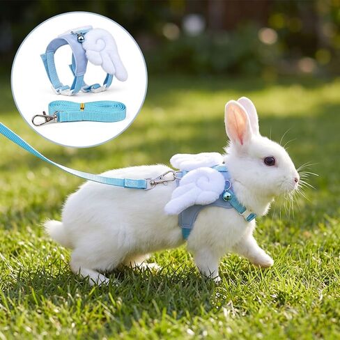 Nogeqi Ferret Harness and Leash Set, Guinea Pig Harness and Leash in Kuwait