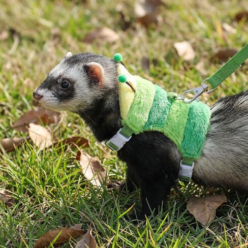 Ferret Harness and Leash Set Small Animals Vest Harness in Kuwait
