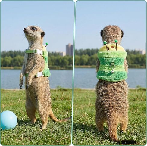 Ferret Harness and Leash Set Small Animals Vest Harness in Kuwait