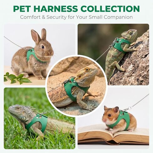 Bearded Dragon Leash and Harness Set Adjustable Lizard Harness in Kuwait