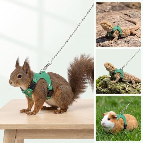 Bearded Dragon Leash and Harness Set Adjustable Lizard Harness in Kuwait