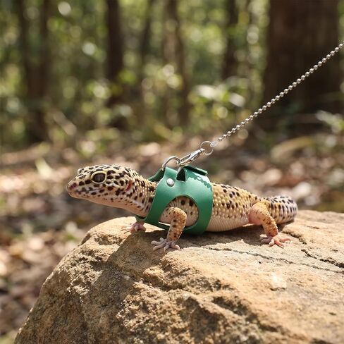 Bearded Dragon Leash and Harness Set Adjustable Lizard Harness in Kuwait
