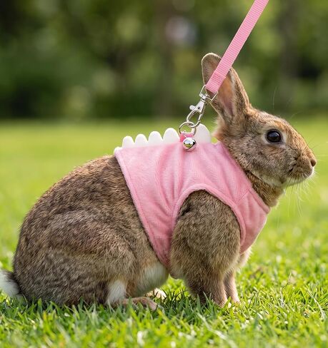 2 Pcs Ferret Harness and Leash Set, Ferret Harness, Blue and Pink in Kuwait