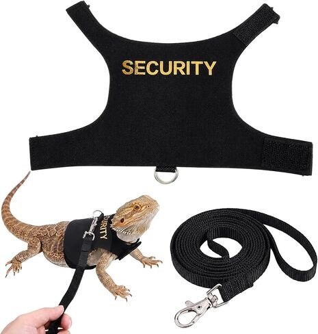 Bearded Dragon Harness and Leash Set Bearded Dragon Clothes in Kuwait