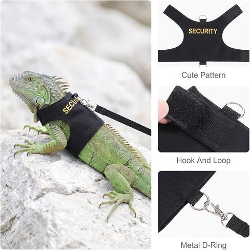 Bearded Dragon Harness and Leash Set Bearded Dragon Clothes in Kuwait