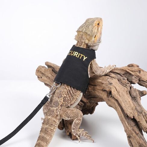 Bearded Dragon Harness and Leash Set Bearded Dragon Clothes in Kuwait