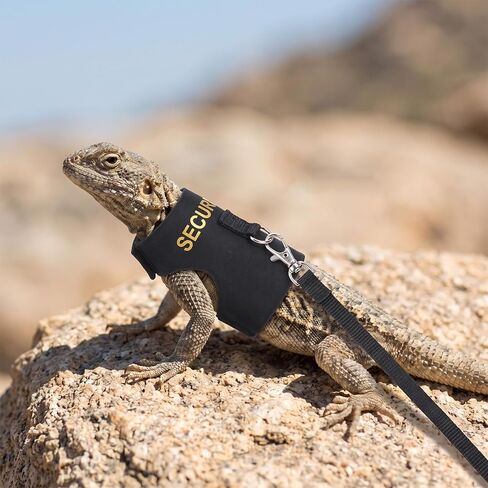 Bearded Dragon Harness and Leash Set Bearded Dragon Clothes in Kuwait