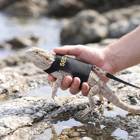 Bearded Dragon Harness and Leash Set Bearded Dragon Clothes in Kuwait