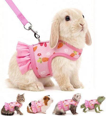 Bunny Harness & Leash Set, Mesh Vest for Small Pets Orange M Walking Gear in Kuwait