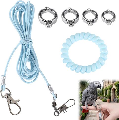 Parrot Flying Training Rope, 4 Size Bird Leash Foot Ring in Kuwait