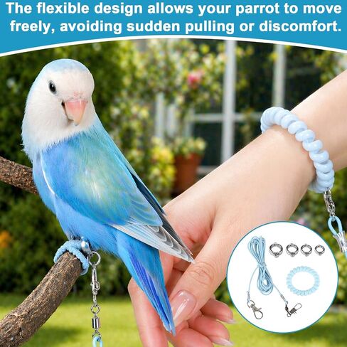 Parrot Flying Training Rope, 4 Size Bird Leash Foot Ring in Kuwait