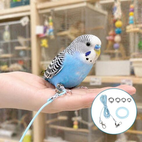 Parrot Flying Training Rope, 4 Size Bird Leash Foot Ring in Kuwait