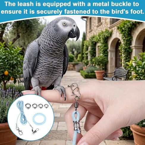 Parrot Flying Training Rope, 4 Size Bird Leash Foot Ring in Kuwait