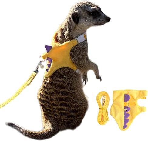 Adjustable Dinosaur Plush Harness & Leash Set, Soft No?Restriction Vest with Safety Bell, Escape?Proof Walking Leash for Ferret, Guinea Pig, Rabbit, Kitten, Puppy (Dinosaur-Green) in Saudi Arabia