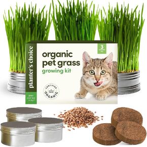 Cat Grass for Indoor Cats Kit - 3 Complete Growing Organic Planter Kits in Kuwait