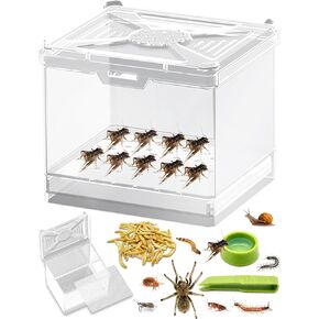 Cricket Keeper – Stackable Insect Habitat for Crickets, Dubia Roaches, Mealworms, Transparent Ventilated Cage, Easy Clean Critter Keeper for Reptiles, Lizards, Snakes, Live Feeder Insect Container in Kuwait