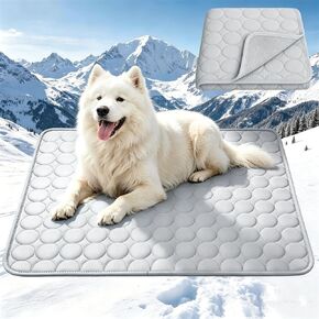 Cooling Mat for Dogs Large,Dog Cooling Mat Indoor,20"x24",Crate Pad for Pet in Kuwait
