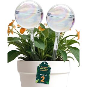 Iridescent Self Watering Globes, Glass Rainbow Plant Watering Globes, Self Watering Planter Insert, Automatic Plant Waterer Indoor (Medium-2 Pcs Iridescent, Medium) in Kuwait