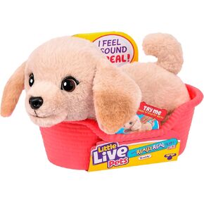 Little Live Pets My Really Real Puppy Mini Aurora the Husky, Interactive Plush Toy with Display Basket, 20+ Sounds and Reactions, Puppy Toys for Kids in Saudi Arabia