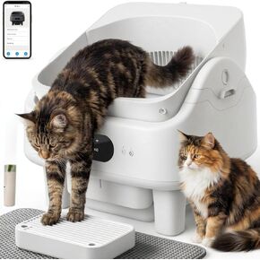 Automatic Litter Box, Smart Self Cleaning Cat Litter Box Anti-Pinch, 10 Safety Sensors, Large Cat Litter Boxs for Multiple Cats, 5G & 2.4G WiFi, 6" LED Display, Odor Control Robot, Grey in Kuwait