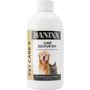 Banixx Lime Sulfur Dip for Dogs & Cats, Concentrated Liquid, 16 oz in Kuwait