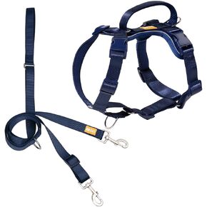 DF Freedom No Pull Martingale Dog Harness and Leash Set, Front Clip Adjustable Harness with Reflective & Padded Handle, Easy Walking & Training, Rainbow, 1", Chest 22"-30" in Kuwait