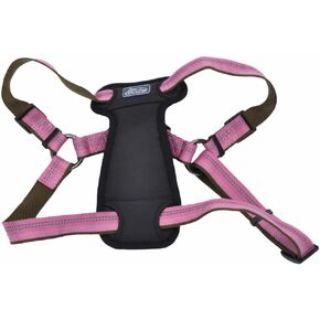 حزام كلب مبطن وقابل للتعديل من Coastal Pet K9 Explorer - وسادة صدر فخمة للراحة - حزام كلب مانع للسحب للكلاب الصغيرة والكبيرة - برتقالي كامب فاير - 1 بوصة × 26 بوصة - 38 بوصة in Kuwait