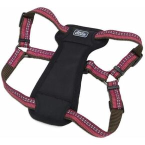 حزام كلب مبطن وقابل للتعديل من Coastal Pet K9 Explorer - وسادة صدر فخمة للراحة - حزام كلب مانع للسحب للكلاب الصغيرة والكبيرة - برتقالي كامب فاير - 1 بوصة × 26 بوصة - 38 بوصة in Kuwait
