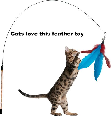 CATENESS Cat Feather Toys Refills, 10 Pieces Cat Wand Replacement Feathers Toy for Indoor Cats in Kuwait