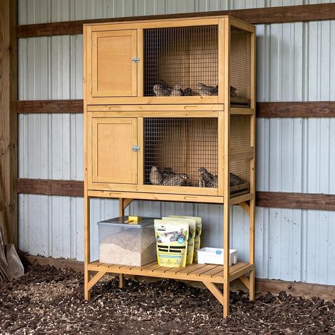 GDLF Wooden Quail Cage Indoor, 2-Tier Quail Coop with Pull-Out Trays in Kuwait