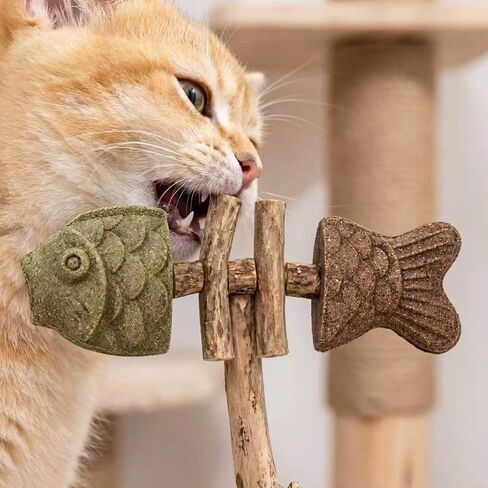 Natural Silvervine Cat Chew Toy Fish Bone, Fishbone-Shaped Cat Dental Toy for Chewing, Fix Your Cat’S Dental Health, Durable Wooden Feline Tooth Care Tool (2) in Kuwait