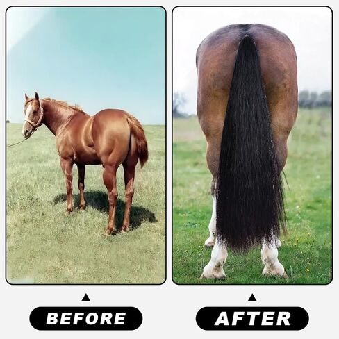 Natural Black Real Horse Tail Extensions - 28-30" Length, 4/8 lb Weight with Braided Horsehair Loop in Kuwait