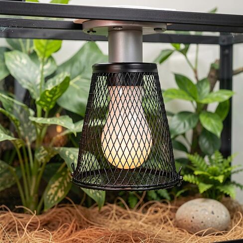 PRETYZOOM 2pcs Heat Lamp Guard Cage, Iron Mesh Cover for Terrarium Safety in Kuwait