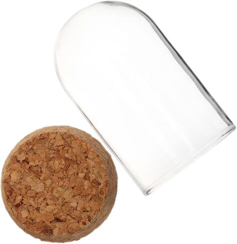 Glass Dome Cloche with Cork Base for Preserved Flower Display in Kuwait
