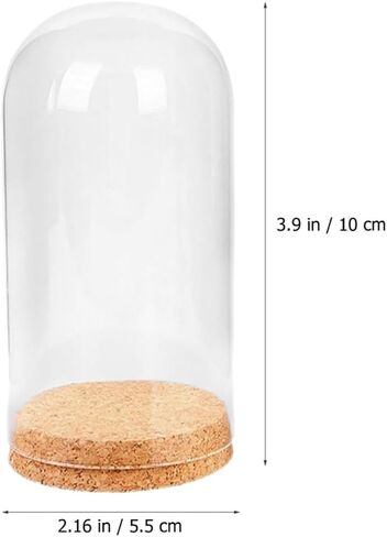 Glass Dome Cloche with Cork Base for Preserved Flower Display in Kuwait
