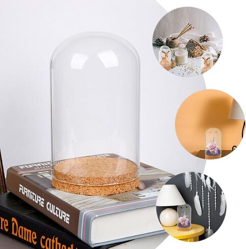 Glass Dome Cloche with Cork Base for Preserved Flower Display in Kuwait