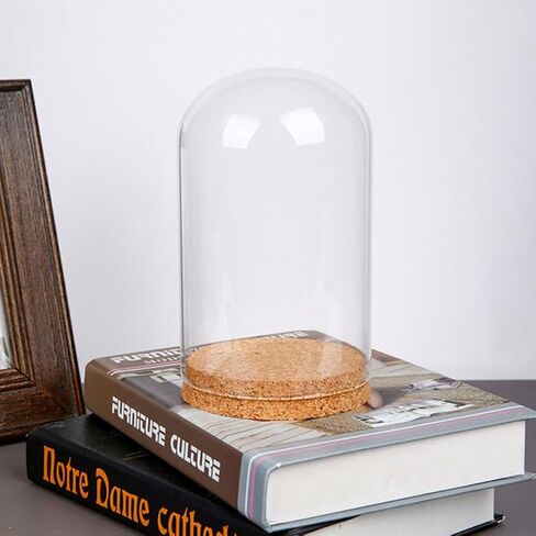 Glass Dome Cloche with Cork Base for Preserved Flower Display in Kuwait