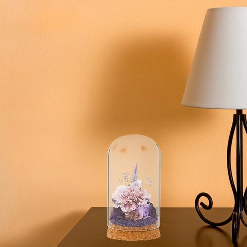 Glass Dome Cloche with Cork Base for Preserved Flower Display in Kuwait